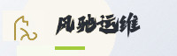 合作伙伴